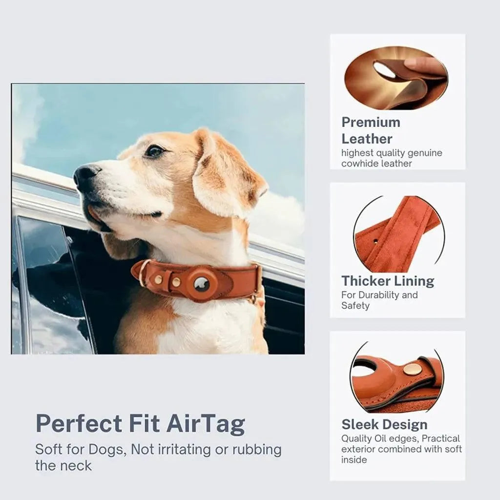 AirTag Dog Collar Genuine Leather - TechShopi