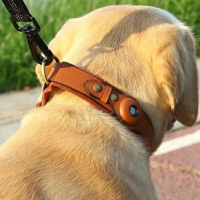 AirTag Dog Collar Genuine Leather - TechShopi