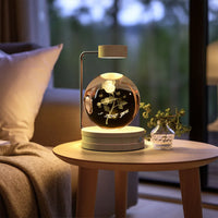 Thumbnail for Crystal Ball Cosmic Dinosaur Indoor Night Light USB Power