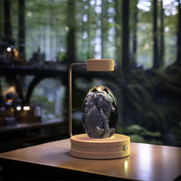 Thumbnail for Crystal Ball Cosmic Dinosaur Indoor Night Light USB Power